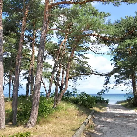 Floora - 250m From The Sea By Interhome 内克瑟